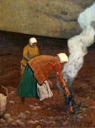 Cavando patatas